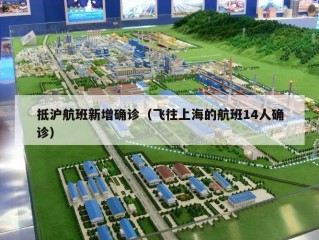 抵沪航班新增确诊（飞往上海的航班14人确诊）