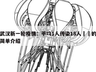 武汉新一轮疫情：平均1人传染18人㊙️的简单介绍