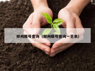 郑州限号查询（郑州限号查询一览表）
